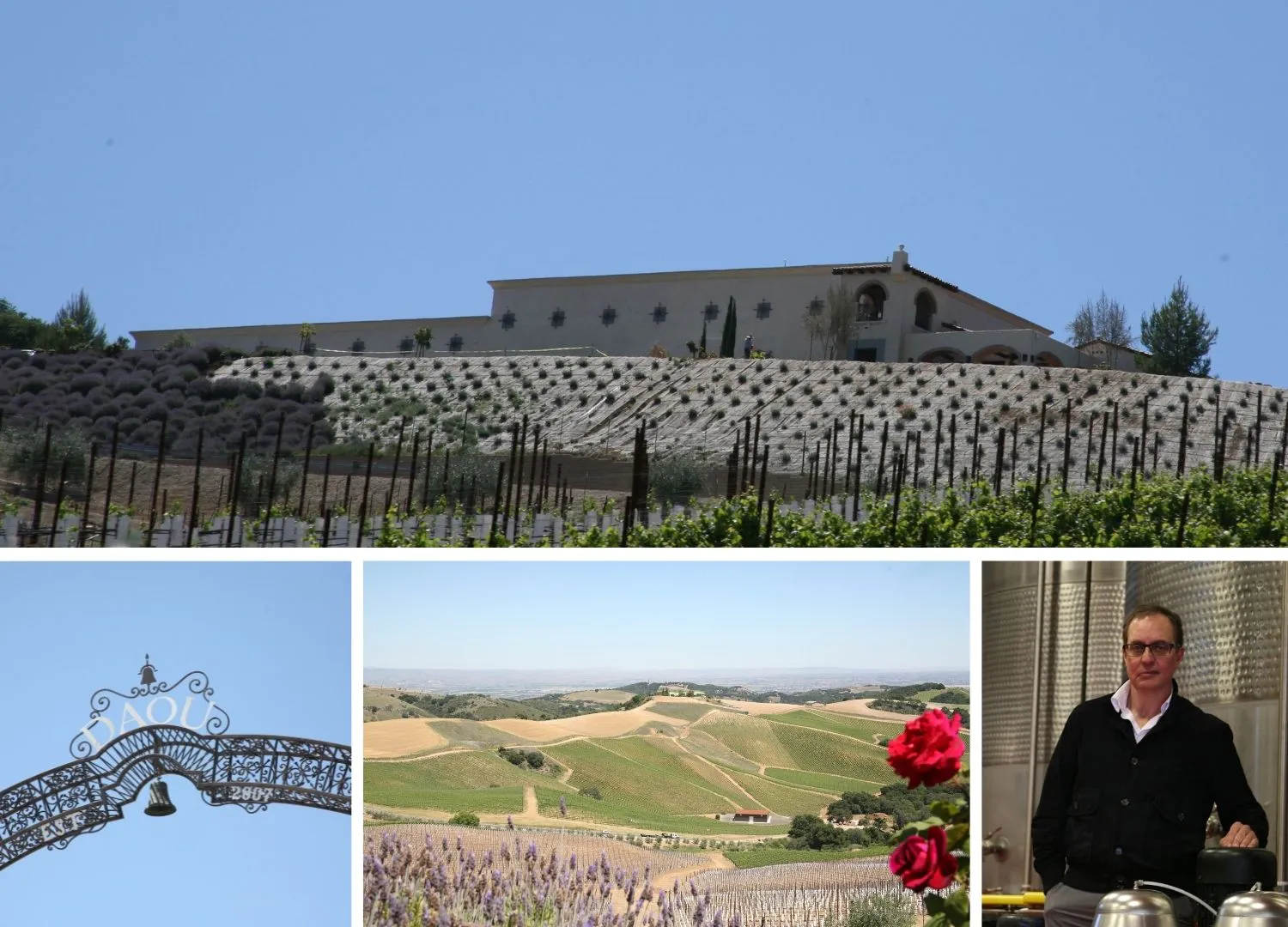 Daniel Daou of Daou Winery reviews Francesca Pumps