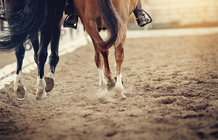 Horse Arena Sand | Sand for Horse & Riding Arenas