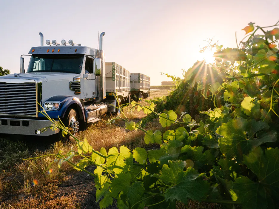 truck in vineyard hero 