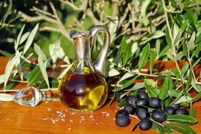 From Tree to Table: A Guide to Olive Tree Farm Transportation Solutions 