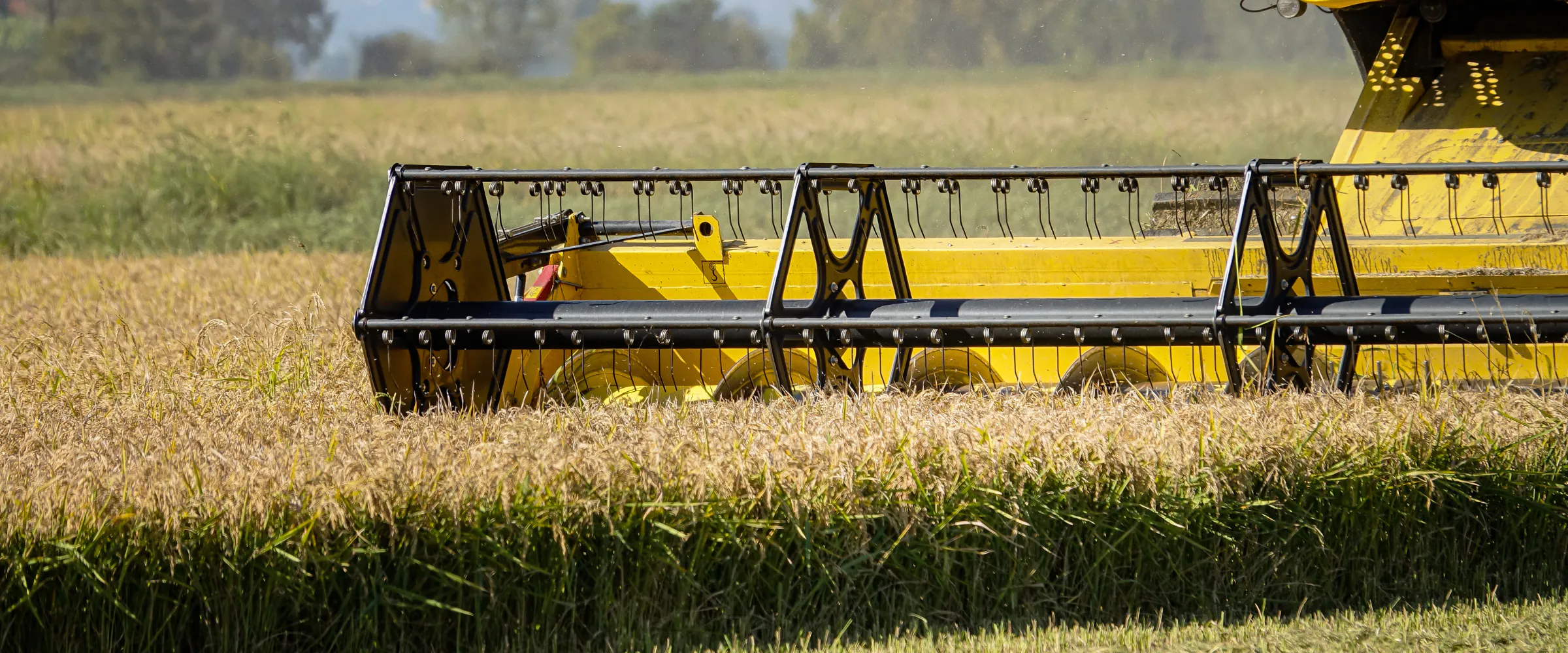 How Rice Trucking Solves Rice Harvest Challenges