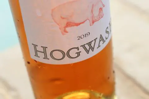 hogwash rose