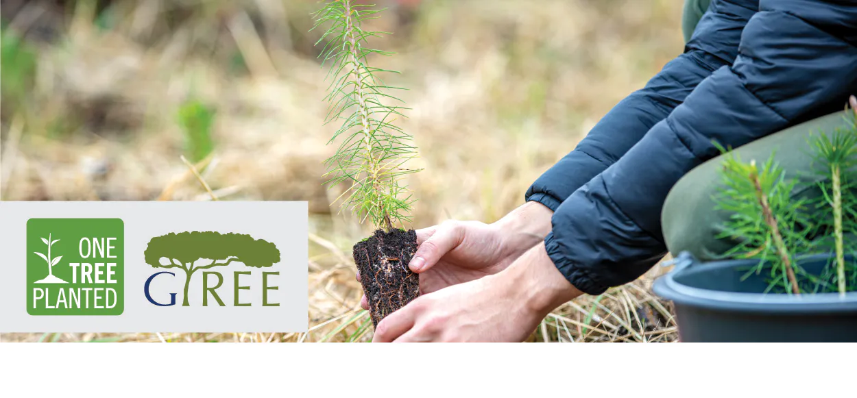 one tree planted
