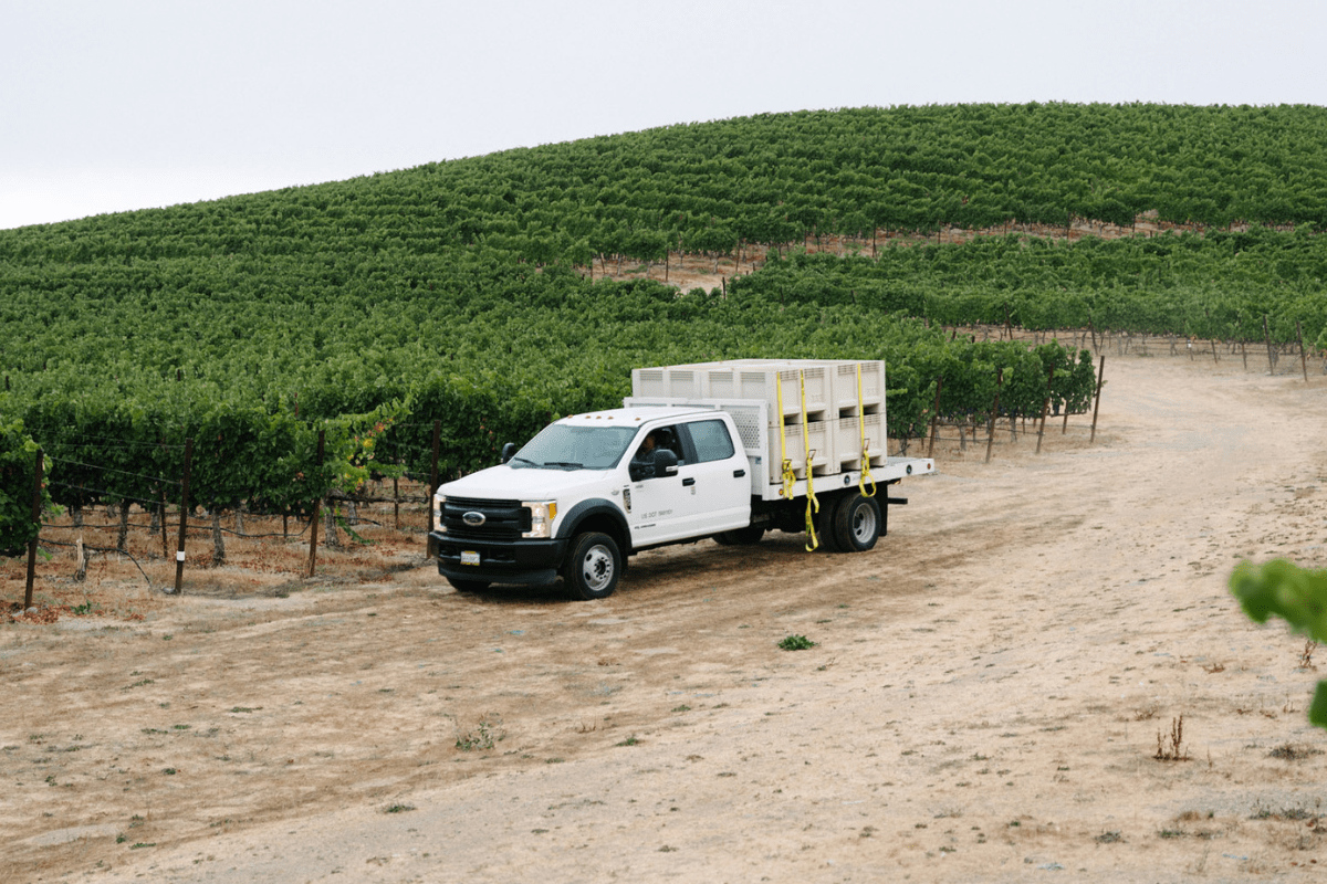 G3 Enterprises Gondola Macro White Bins/Small Lots