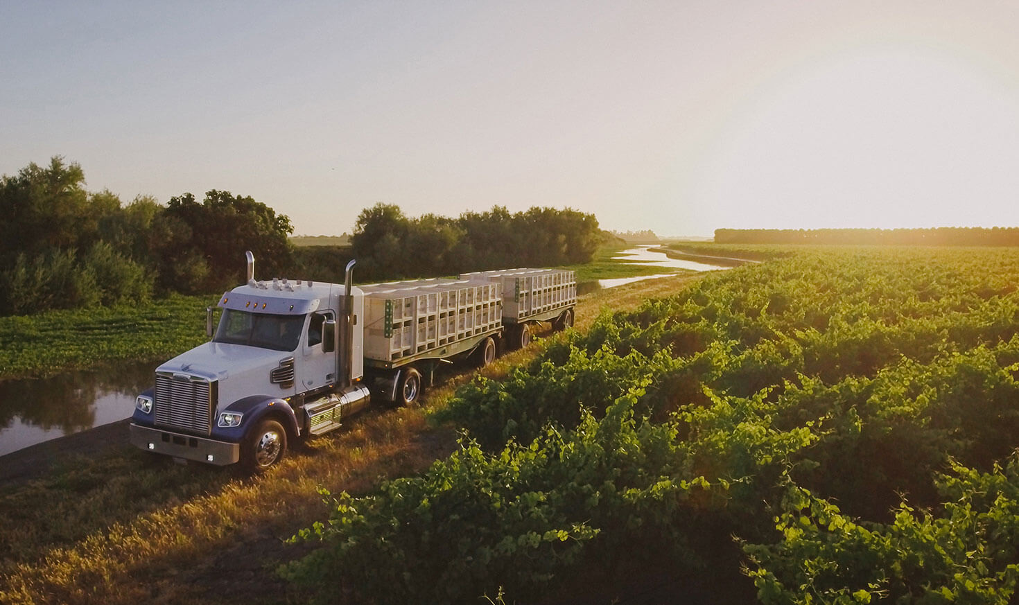 G3 Enterprises Different Types of Wine Grape Hauling Services