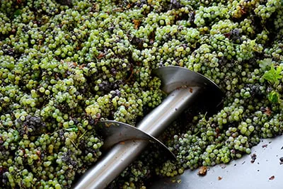 Wine Destemmers and Crushers