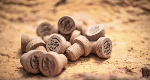 Cork Closures for Spirits: How Distilleries Can Improve Shelf Life with Better Bottle Closures